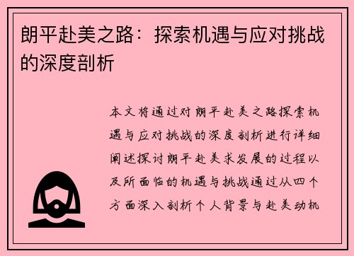 朗平赴美之路：探索机遇与应对挑战的深度剖析