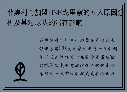 菲奥利奇加盟HNK戈里察的五大原因分析及其对球队的潜在影响
