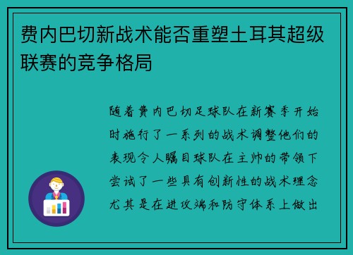 费内巴切新战术能否重塑土耳其超级联赛的竞争格局